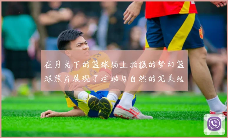 在月光下的篮球场上拍摄的梦幻篮球照片展现了运动与自然的完美结合