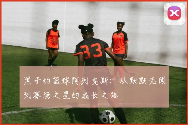 黑子的篮球阿列克斯：从默默无闻到赛场之星的成长之路