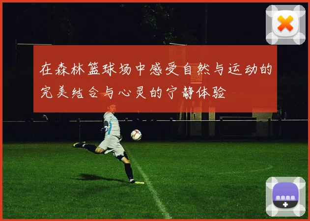 在森林篮球场中感受自然与运动的完美结合与心灵的宁静体验