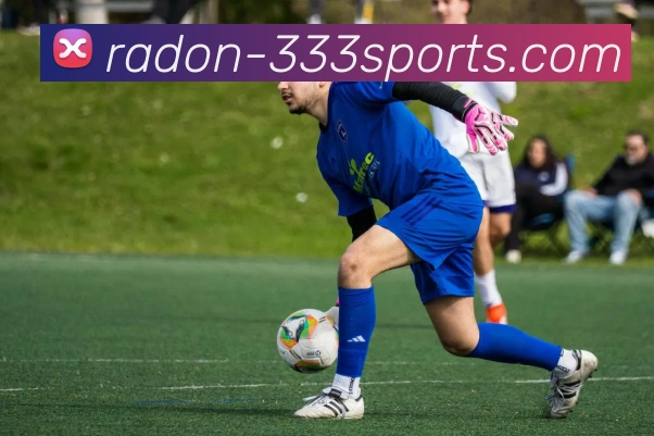 333体育品牌故事